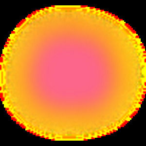 Meet your Posher, Mia